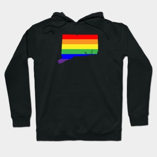 Connecticut Hoodie